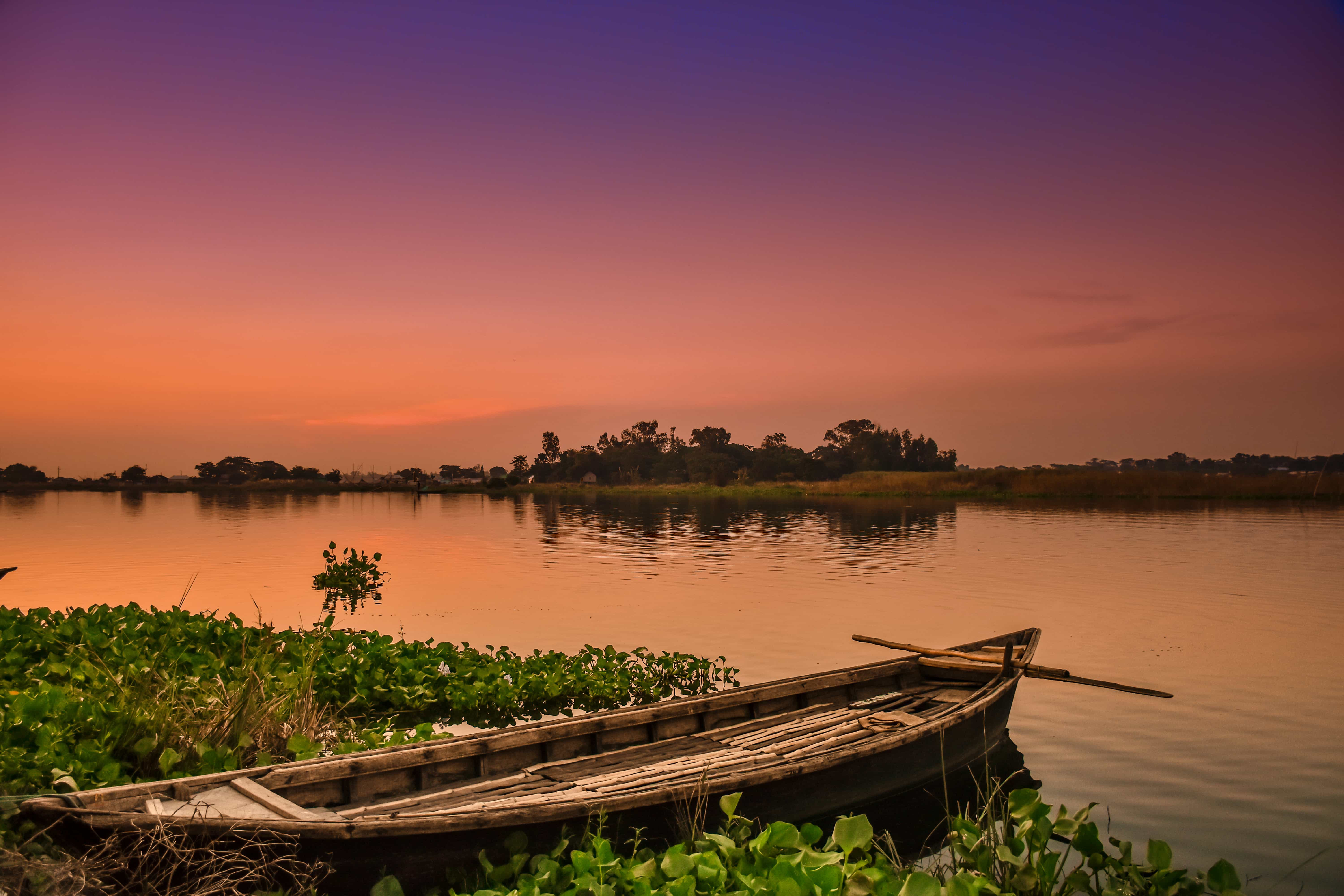 Duak and Boat Photography by Ajmain Fayek