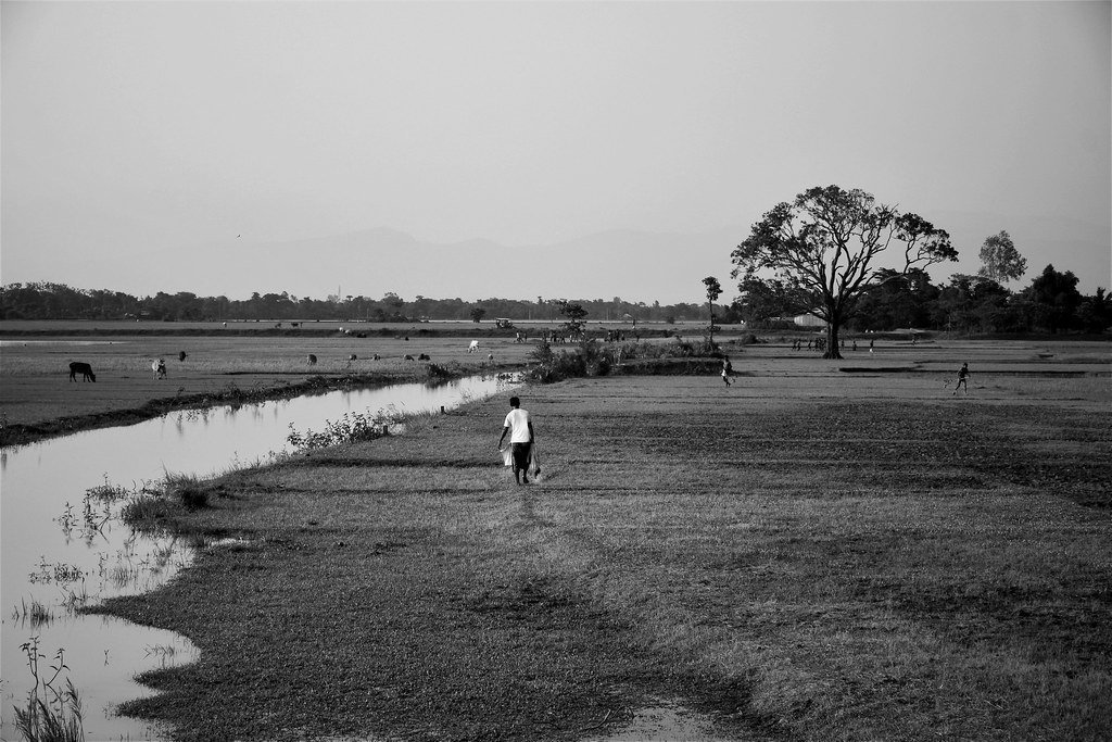 Nature BNW Photography by Ajmain Fayek